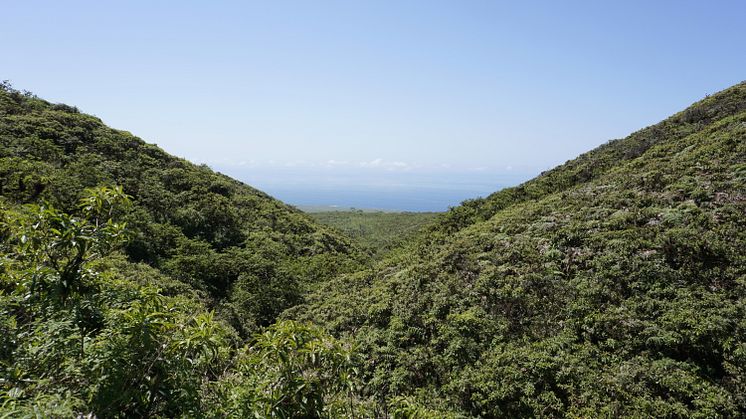 Galapagos reserve landscape, San Cristóbal Island -Fundación Jocotoco. Photo: Jacob G. Salinas - Fundación Jocotoco og Diego Añazco