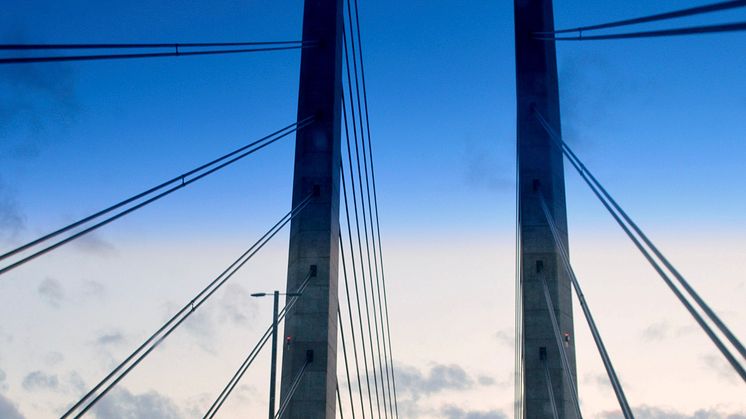 KAOS VID ÖRESUNDSBRON: Brittisk tv-kändis stoppad i tullen – 15 får i lasten
