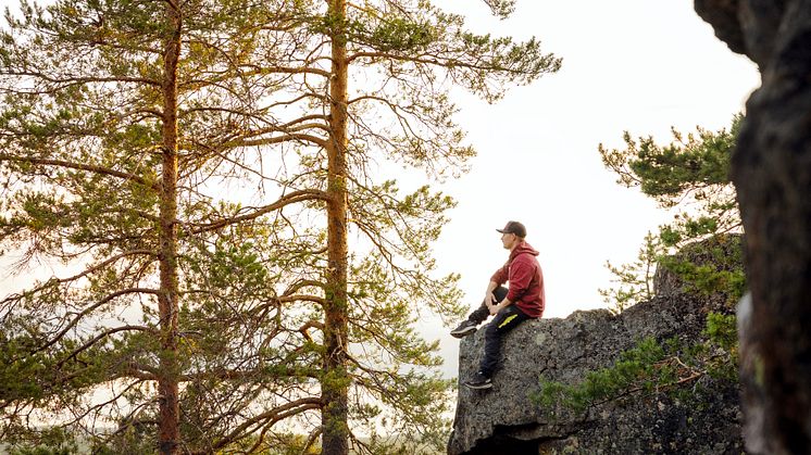 Vandring Umeåregionen
