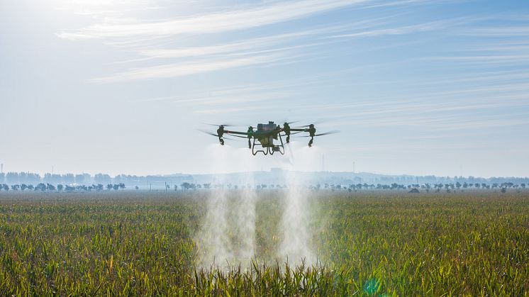 DJI Agras T50-1.jpg