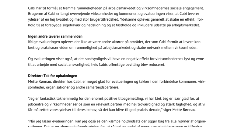 Evaluering: Cabi spiller en helt central rolle på beskæftigelsesområdet