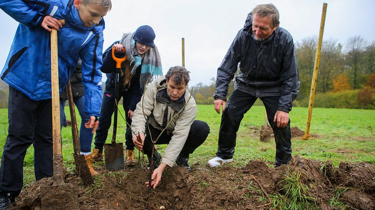 Louisenlund betreibt zukünftig Landwirtschaft 
