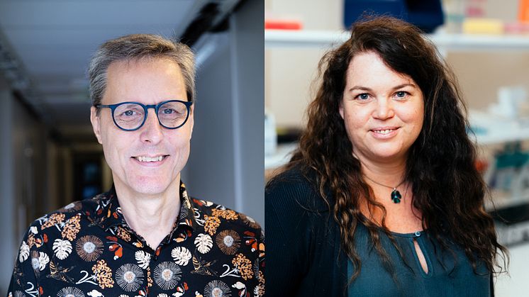 Anders Fridberger och Maria Jenmalm får ta emot Onkel Adams pris för framstående forskning vid Medicinska fakulteten.