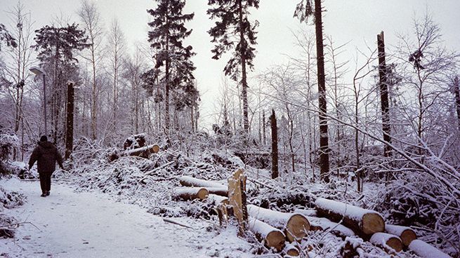 Skrylle 4 december 1999, dagen efter stormen. Foto: Gert-Inge Tapper