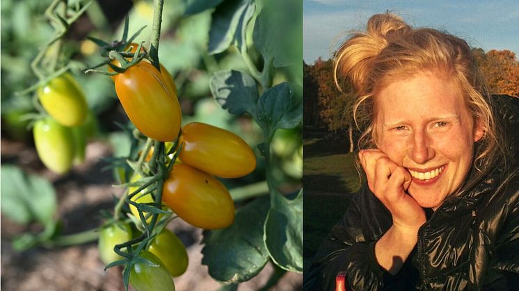 Vi vill leda branschen till rätt målsättningar, säger Annie Svensson, Greenfood. 