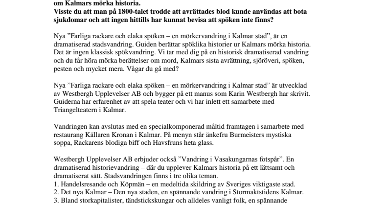 Mörkervandring - se Kalmar från den mörka sidan, en mörkervandring bland sägner och historier.
