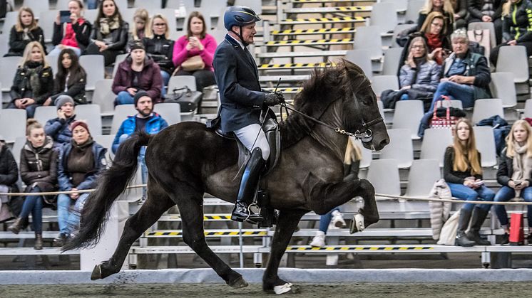 Vignir Jonasson på Viking från Österåker i dagens uttagning i V1 Fyrgång Foto: Elmia AB/ Sofie Lahtinen-Carlsson