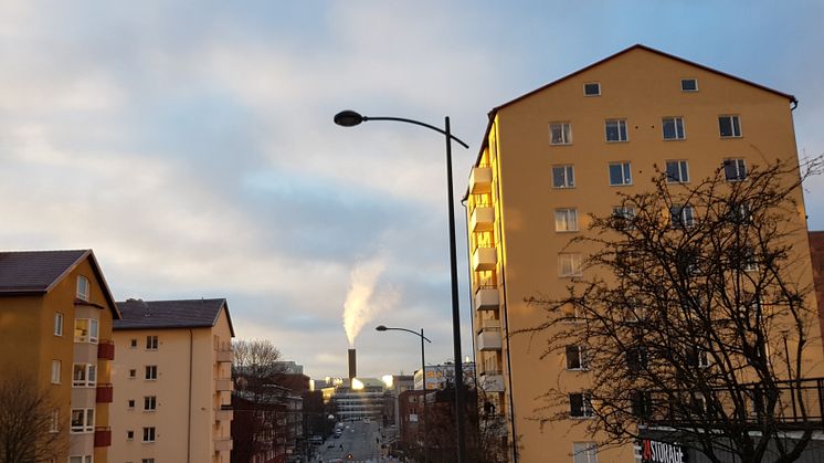 Varifrån kommer vårt biobränsle?