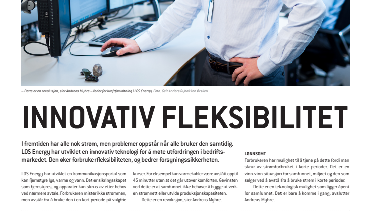 Presseklipp fra Energi21-bilag i Dagens Næringsliv - Innovativ fleksibilitet