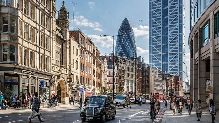 2. London – för yogahunden