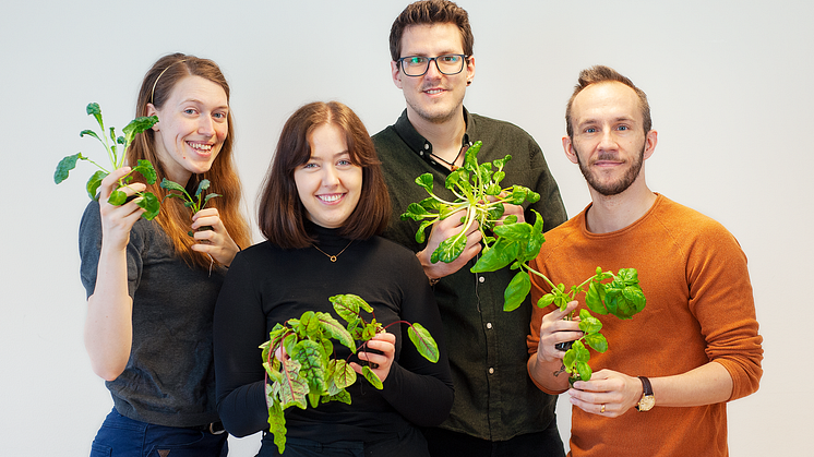 Från vänster Ellinor Emilsson - driftsansvarig Containing Greens, Moa Johansson - vd Containing Greens  och Adrian Arrosamena Mellgren - teknikansvarig Containing Greens och Andreas Eklund - verksamhetschef Go Business