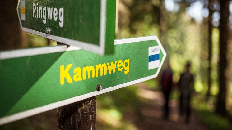KAMMWEG_Erzgebirge_vogtland_Schild_Foto_TV Erzgebirge e.V._Rene Gaens .jpg
