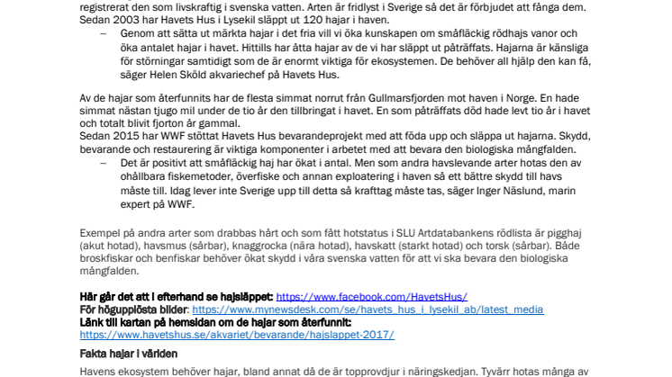 Idag släppte Havets Hus och WWF ut fridlysta hajar i Gullmarsfjorden