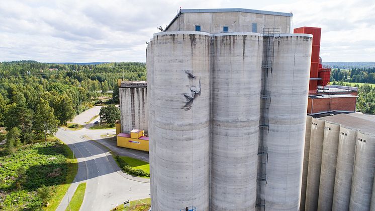 Guido van Helten ja Kantolan vanhat viljasiilot Hämeenlinnassa. Valokuva: Upeart.