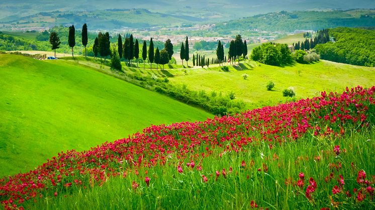 Toscana - ett klassiskt resmål för TEMA.