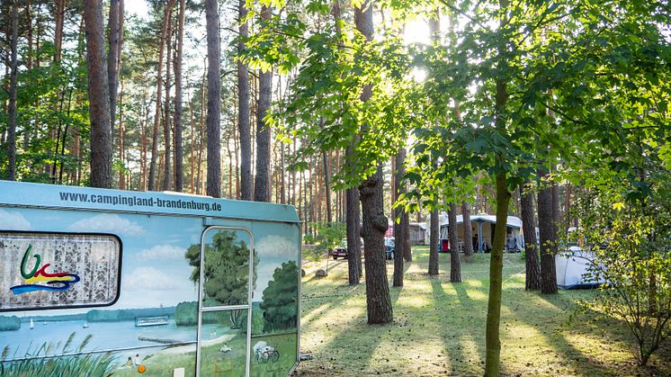 Camping ist in Brandenburg sehr beliebt und ein starker Wachstumstreiber für den Tourismus. Foto: TMB-Fotoarchiv/Steffen Lehmann.  