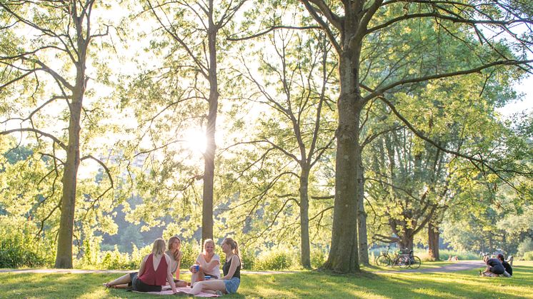 Nu startar ett samarbete mellan Green Cities och Tankesmedjan Movium vid SLU för att nå ut med relevant information till beslutsfattare som har möjlighet att påverka städernas framtid.