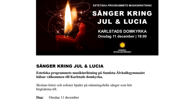 Pressinbjudan: Välkommen på julkonsert i Karlstads domkyrka