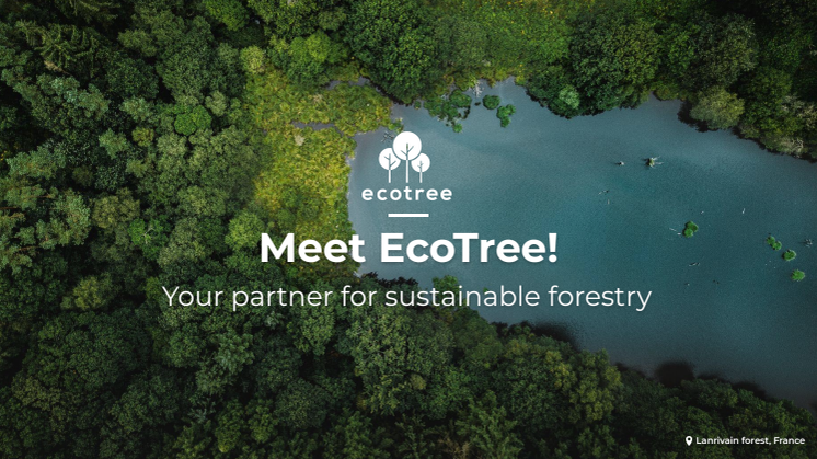 May the forest be with you - Meet EcoTree