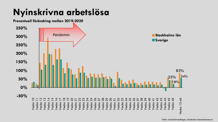 Nya arbetslösa - vecka för vecka.pdf