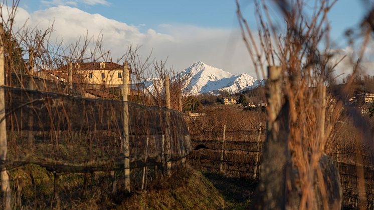 Monte Rosa