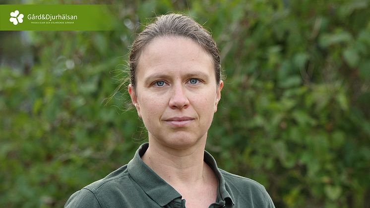 Gård & Djurhälsan får masterkompetens i bedömning av djurvälfärd i primärproduktionen