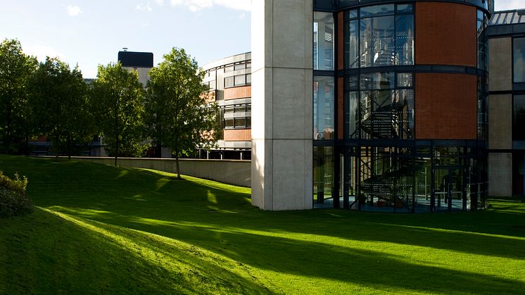 Masters in Psychoanalytic Observation Studies Conference
