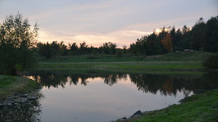 Välkomna på pressvisning av Filborna skogspark den 21 oktober