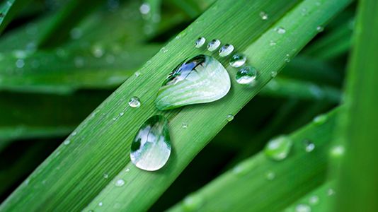 ​Trioplast’s vision is to reach zero carbon footprint, and with a growing sustainable portfolio of products the company is taking big steps towards that.