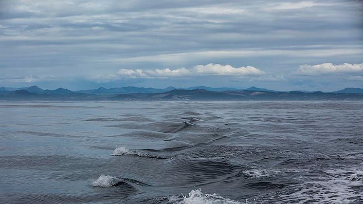 MSC:s nya fiskestandard – en global standard för att nå FN:s hållbarhetsmål. 