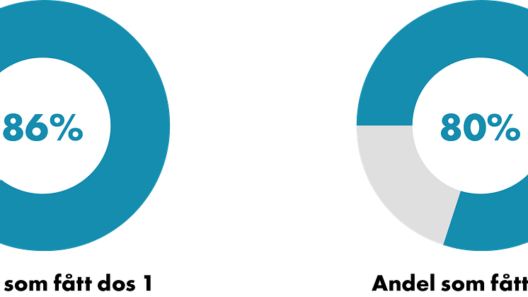211001 cirkel andel.png
