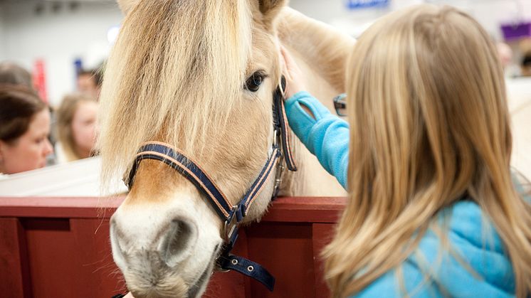 EuroHorse 2012