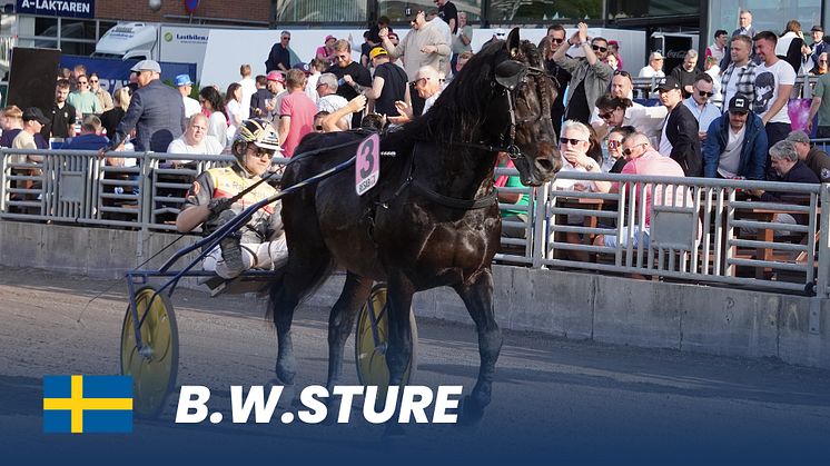 B.W.STURE_1920X1080.jpg