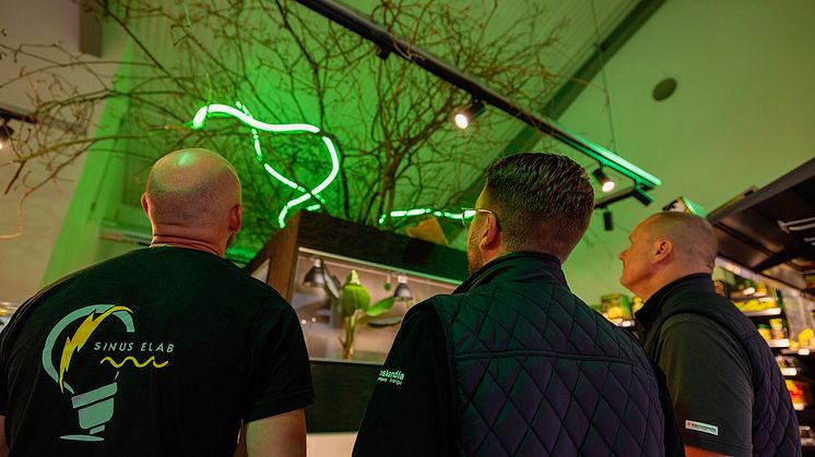 Reptilavdelningen på Zoogiganten lyses upp av grönt neonljus.
