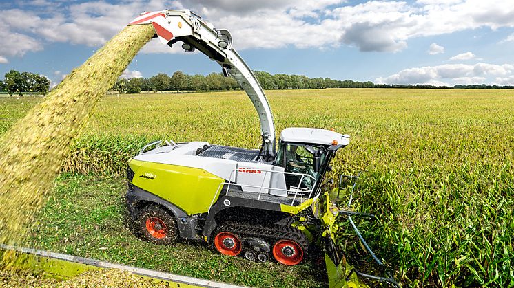 CLAAS JAGUAR 990 TERRA TRAC