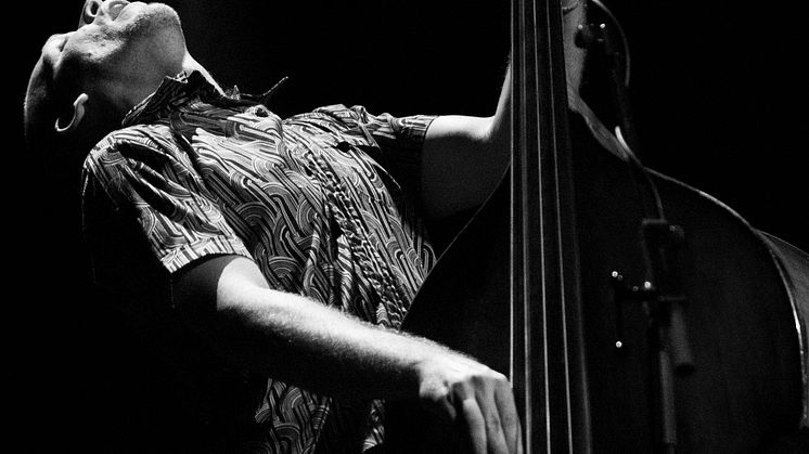 Avishai Cohen, foto Sascha Bullert.