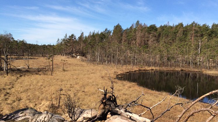 Eklidens naturreservat