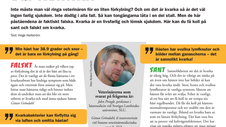 Vet du vad som är sant och falskt om kvarka?