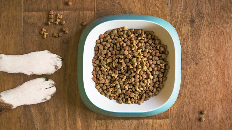 WinnerPlus hundefoder – i en klasse for sig