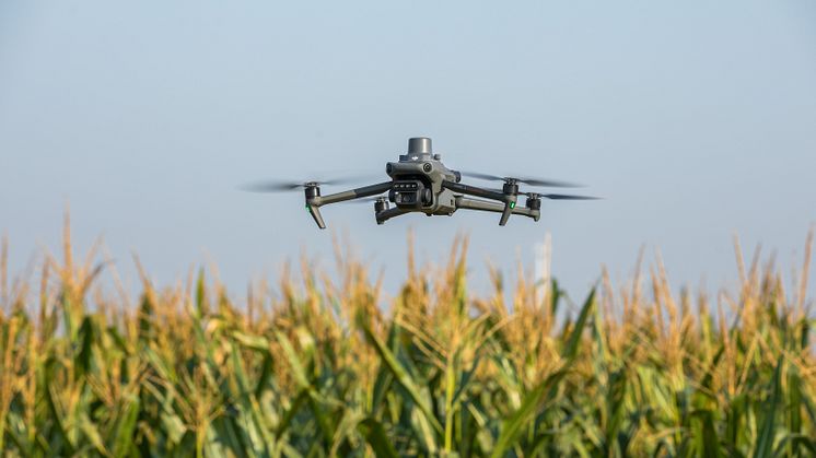 DJI_M3M 4.jpg