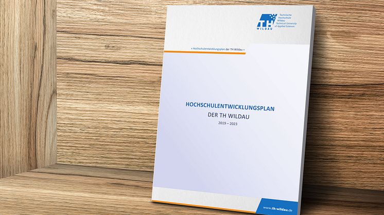 Im Zentrum des Hochschulentwicklungsplans stehen vier Handlungsfelder, die als strategische Zielsetzungen formuliert wurden: Professionalisierung, Digitalisierung, Internationalisierung und Flexibilisierung.