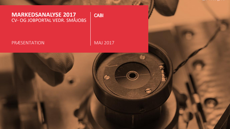 Markedsanalyse 2017: Inklusion af udsatte ledige