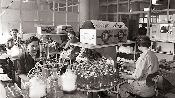 Zalo-produksjon 1953.jpg