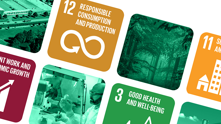New horizons for sustainable development with the release of Camfil’s annual sustainability report