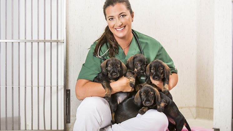 Veterinär Marie Jury, Väsby djursjukhus, författare av boken Så slipper du veterinären. En bok för dig som funderar på att köpa valp eller vuxen hund för att göra kloka val och slippa onödiga veterinärkostnader