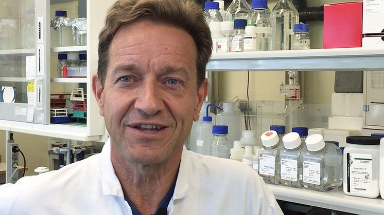 Anders Kvanta, adjungerad professor vid Karolinska Institutet och överläkare på S:t Eriks Ögonsjukhus är en av forskarna bakom studierna. Foto: Sofia Thorsson