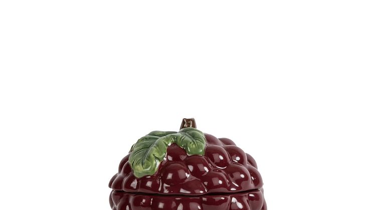 Bowl Grape with lid 5228625907_front
