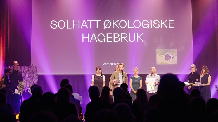 Årets produsent - Solhatt