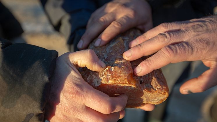 The Hunt for Baltic Gold HISTORY
