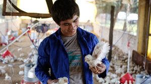 Vinnare av årets Nestlé Creating Shared Value Prize 